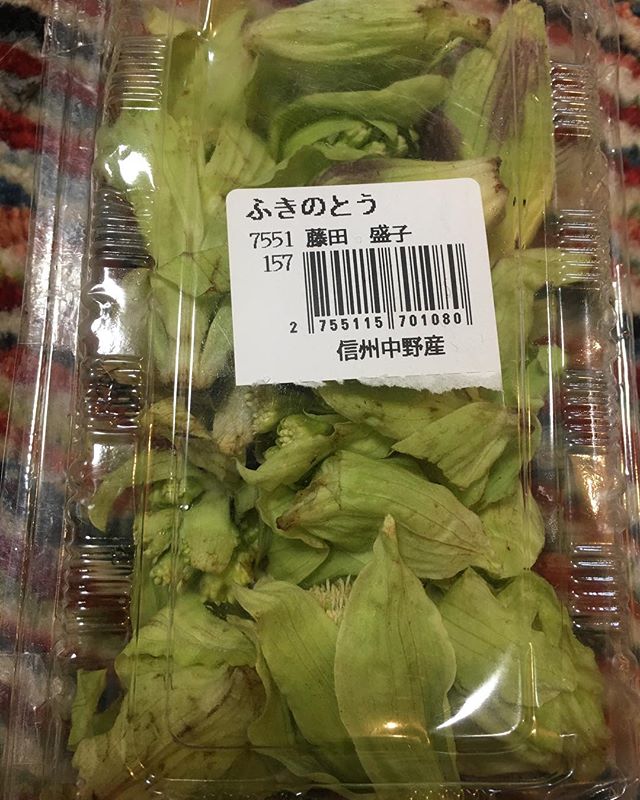長野のフキノトウ(東北、北海道じゃバッケ／ばっきゃ)をいただいた。どうやって食べよかな。。。 (from Instagram)