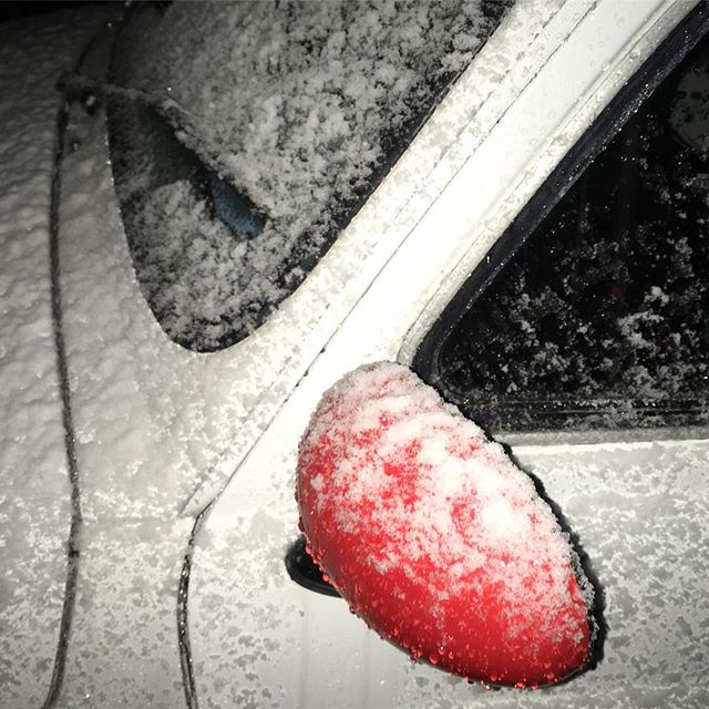 寒いと思ったら、、、雪かよ、、、 (from Instagram)