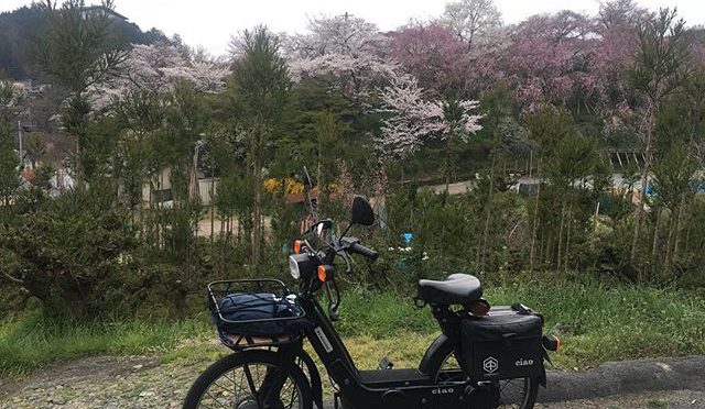 投票所の横から桜で有名な原谷苑の裏を望む。満開時期は入園料1500円だそうで、ただで100円分くらい覗き見ちゃった。 (from Instagram)