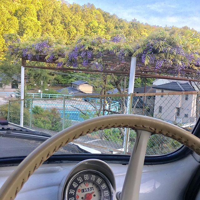 チンクのタイヤ交換したので試運転。近所の坂道下って来たら藤が咲き始めていた。 (from Instagram)