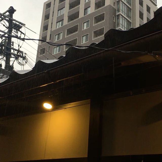 雨宿り中。@sakaimachi-garow (from Instagram)